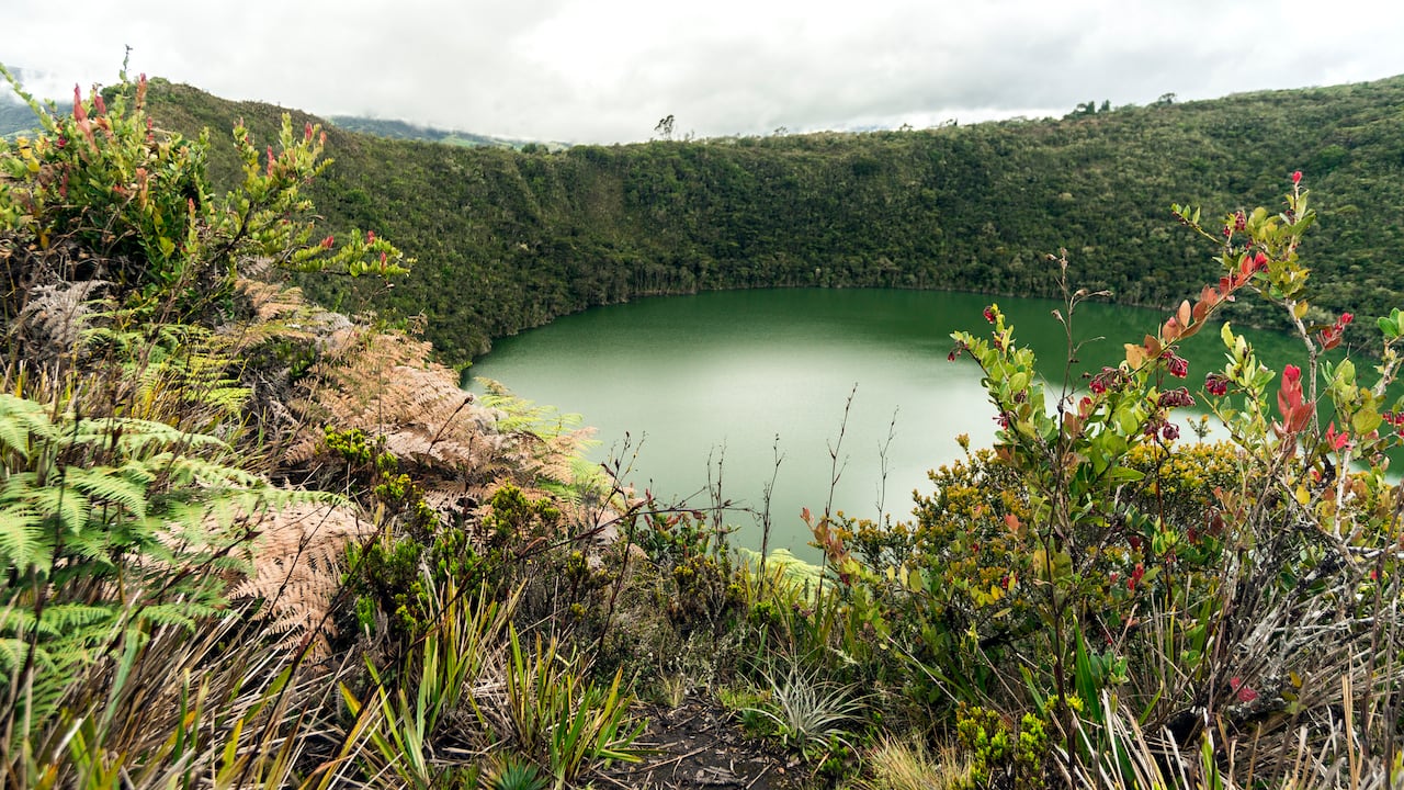 Laguna de Guatavita: El rincón de ensueño que cautivó a ChatGPT en Colombia.