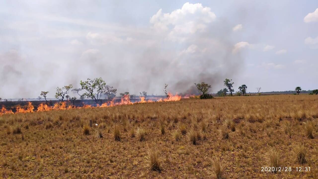 Incendio en el Parque Nacional Natural El Tuparro. Foto: Parques Nacionales Naturales