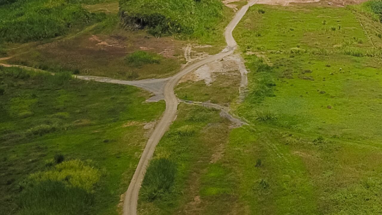 Procuraduría pide controles efectivos ante construcción de vías ilegales en la Amazonía