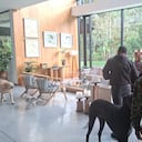 Esta era la lujo vivienda donde fue capturada alias Lina.