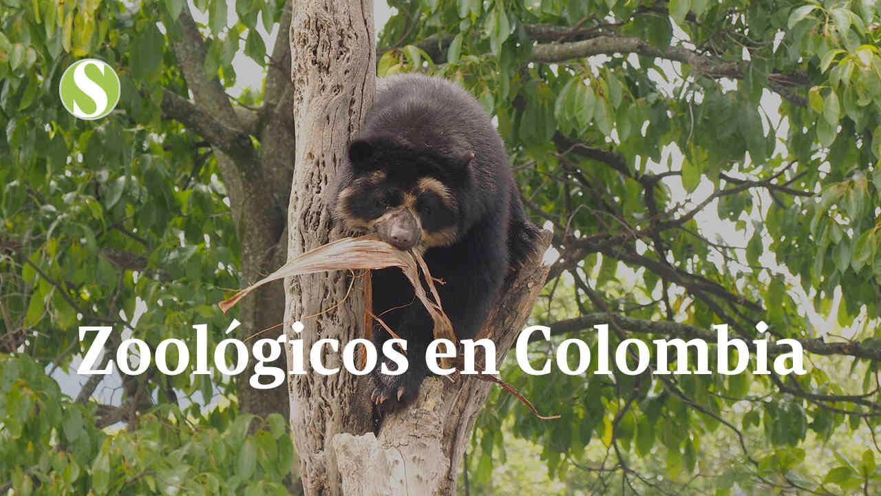 Cover programa zoologicos