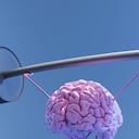 El consumo de frutos secos ayuda a tener una excelente salud cerebral.