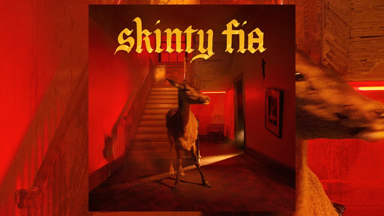 Skinty Fia - Fontaines d.c.
