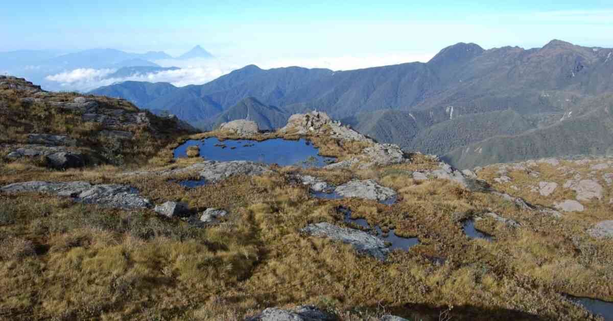 El Pico Pance del Parque Nacional Natural Farallones es uno de los lugares más emblemáticos de Cali. Foto: Parques Nacionales Naturales.