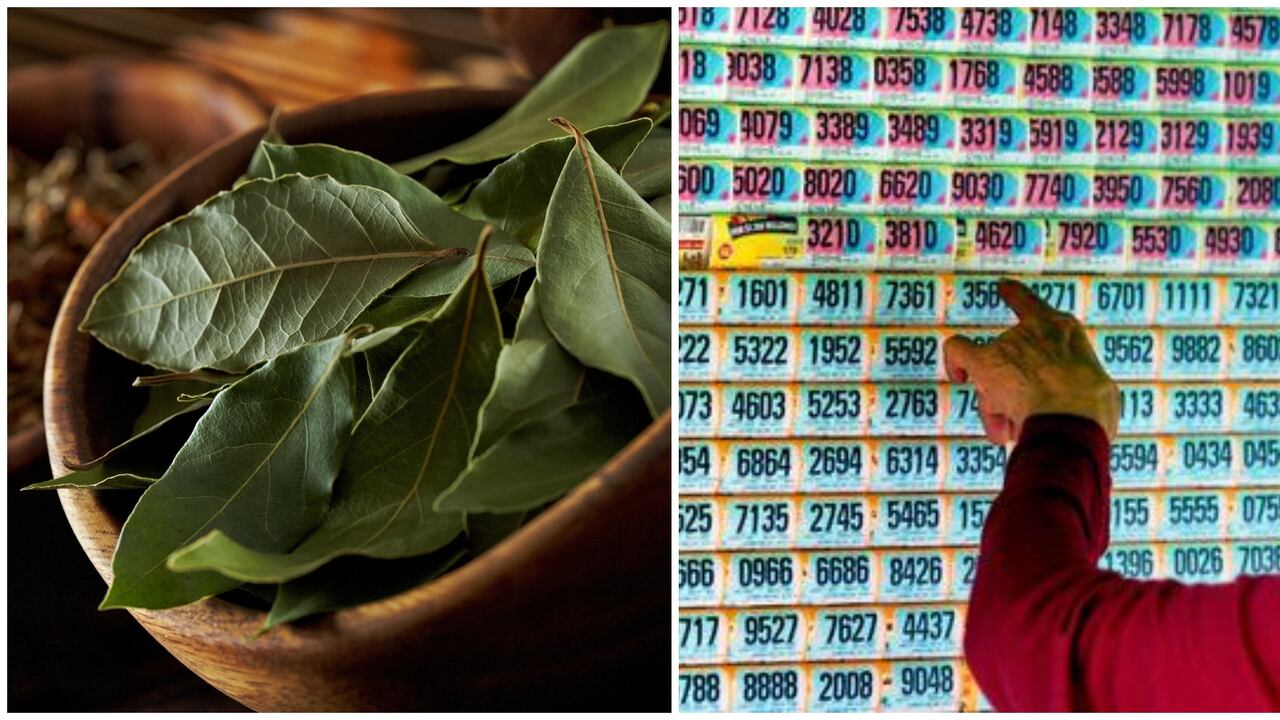 Ritual con laurel para atraer la buena suerte en la lotería