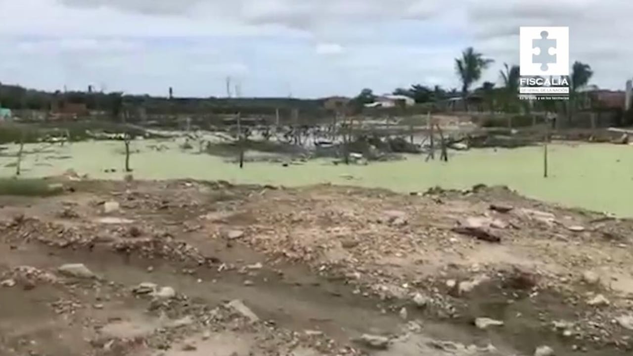 Ciénaga de la virgen en Cartagena