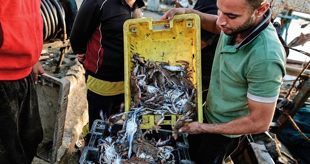 Empezó con la izquierda_6