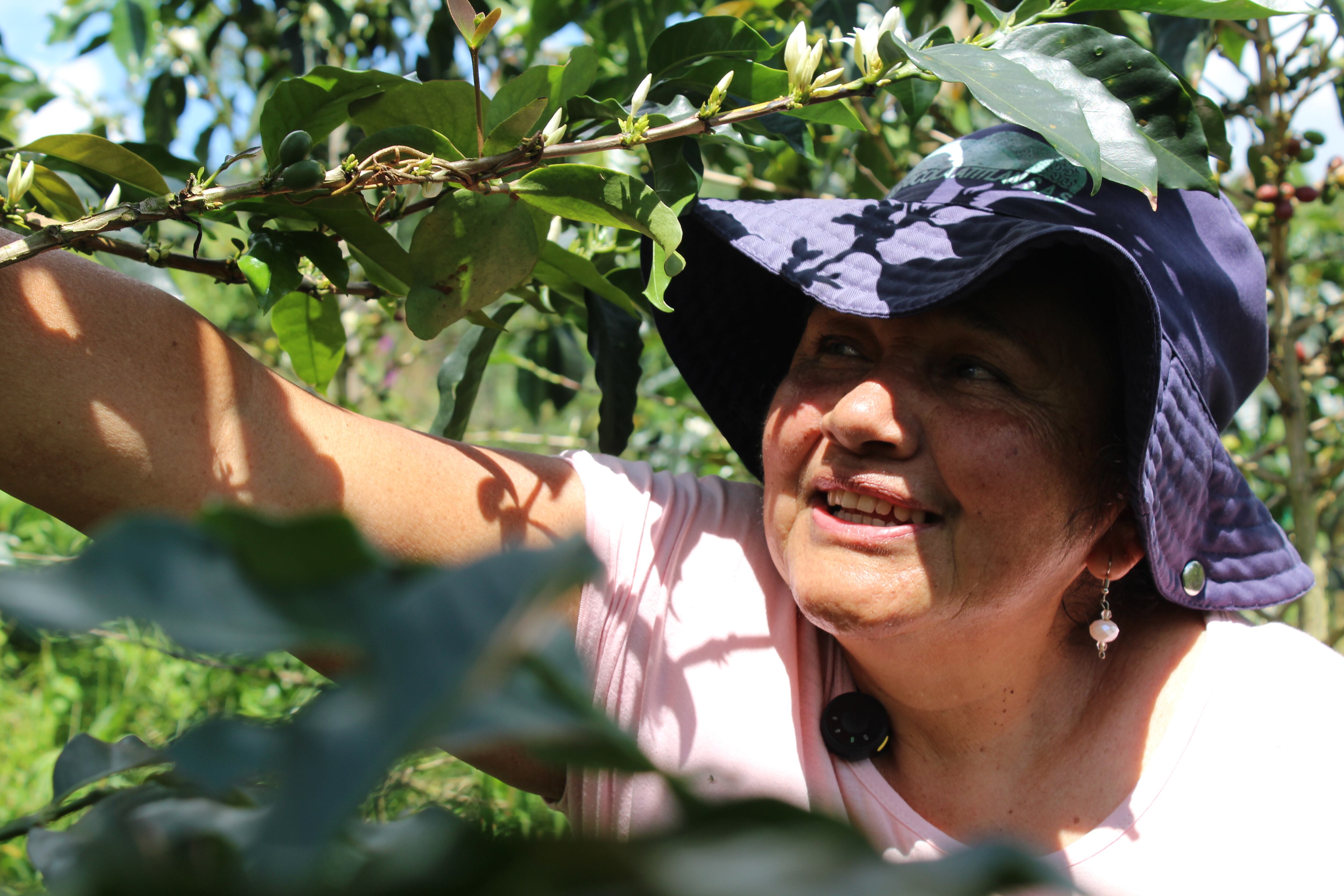 Caficultores del Valle del Cauca