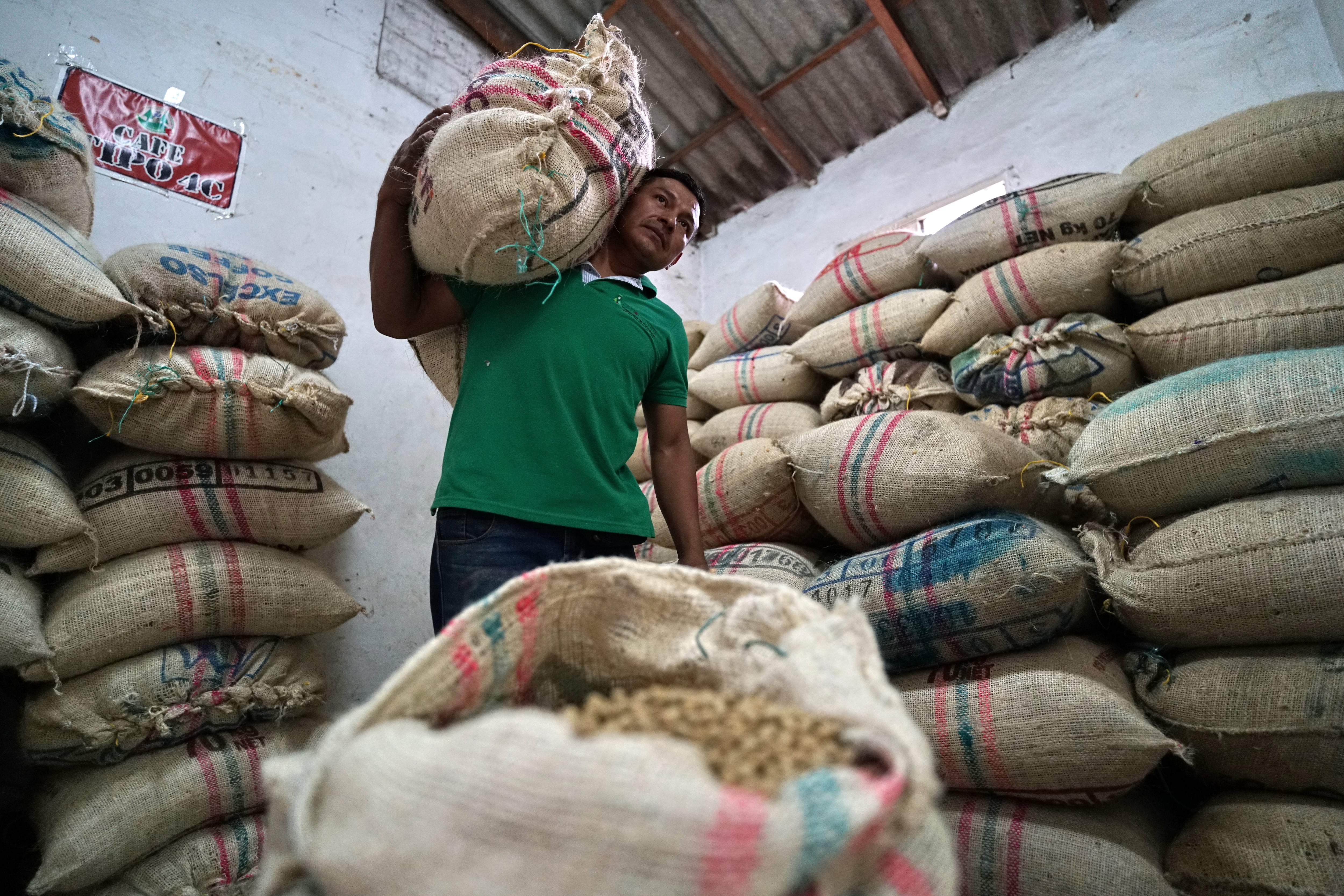 El día Nacional del café se celebra este jueves 27 de junio, con el aniversario de la creación de la Federación Nacional de Cafeteros, entidad que nació el 27 de junio de 1927