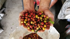Los agricultadores suelen ser afectados por estos delitos.