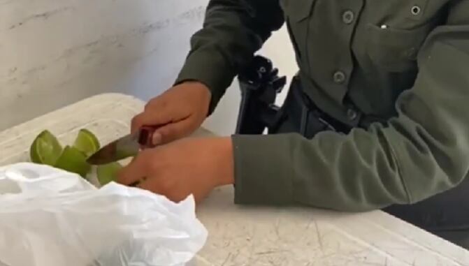 En la fruta fueron hallados 15 gramos de marihuana.