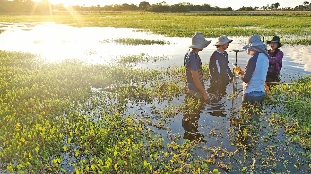 Con CO2Bio hoy son más de 280 familias comprometidas con la conservación de más de 290 mil hectáreas de bosques de galería y sabana inundable.
