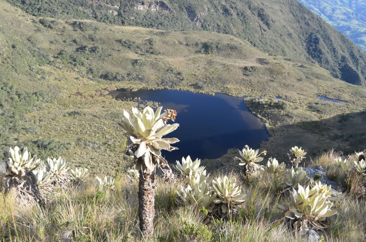 Laguna de Iguaque