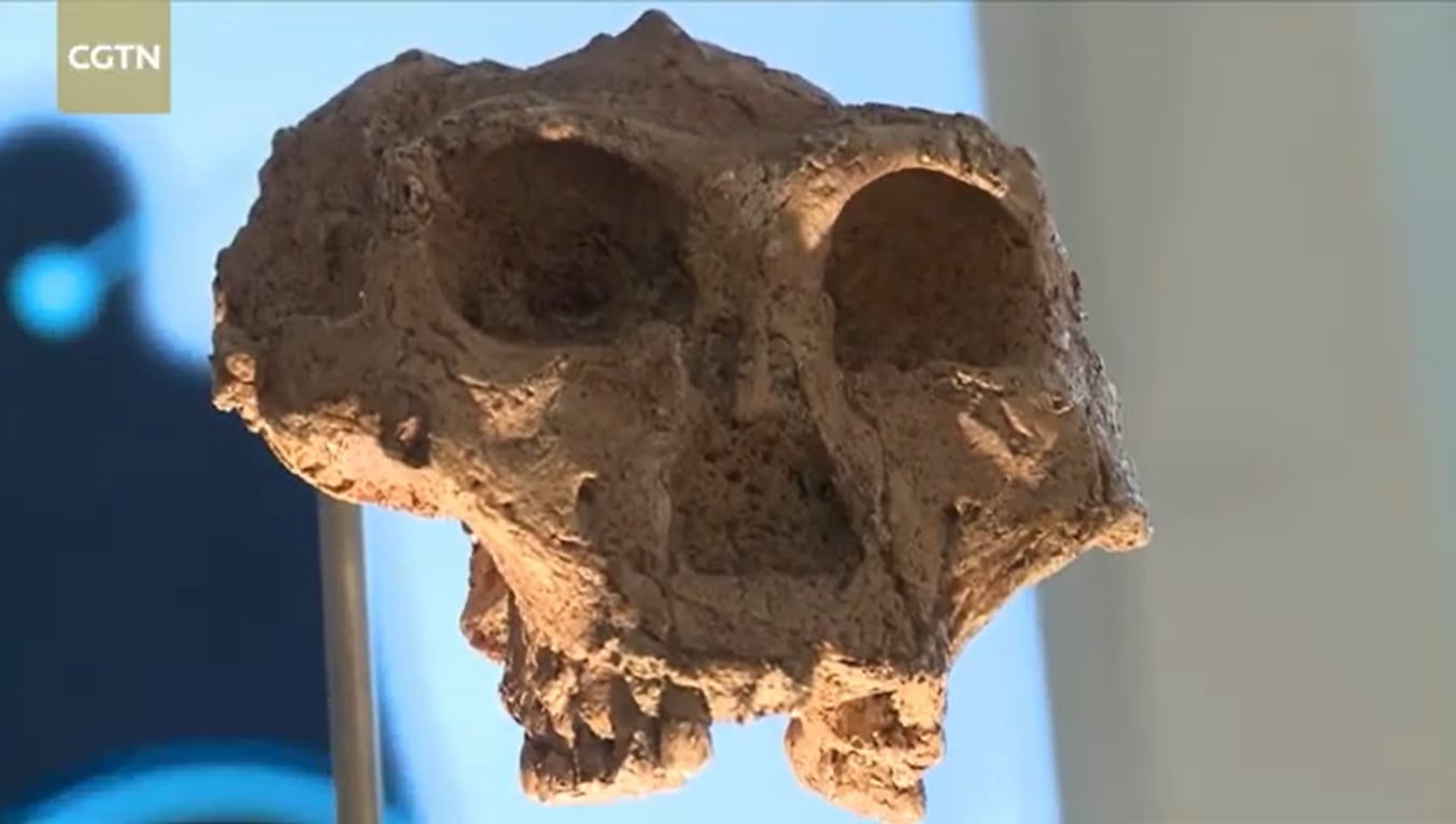 Investigadores reabrieron el debate sobre quién habitó Europa hace 300.000 años.