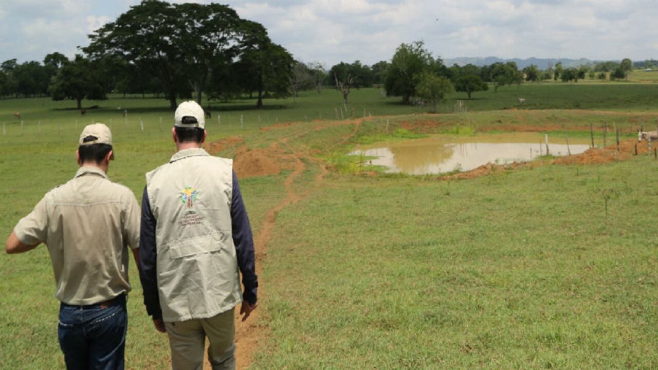 Nuevo caso de restitución de tierras en Mapiripán.
