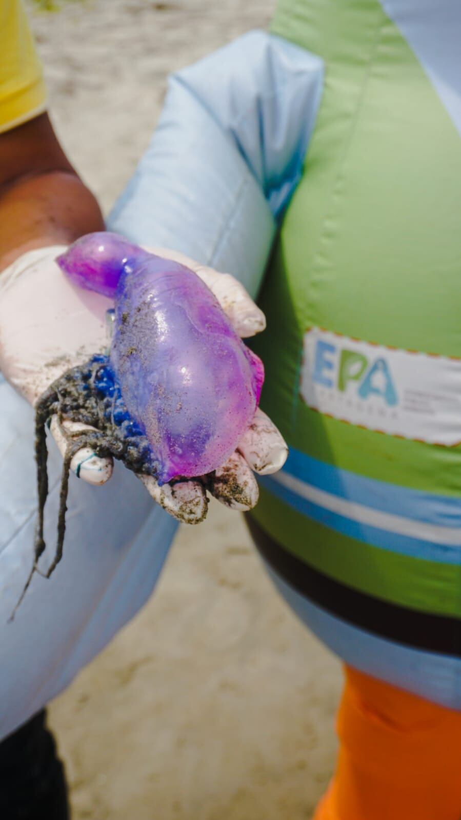 Fragata Portuguesa en Cartagena