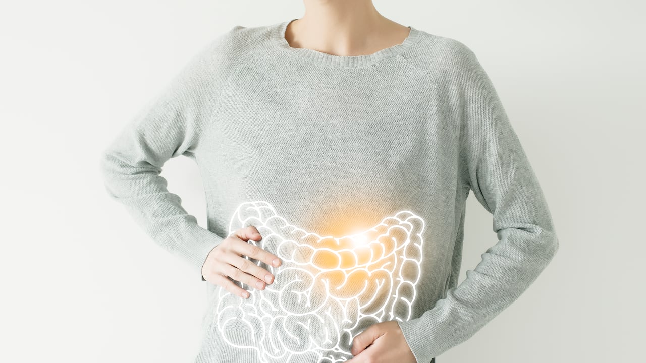 La digestión permite el aprovechamiento de los nutrientes de los alimentos.