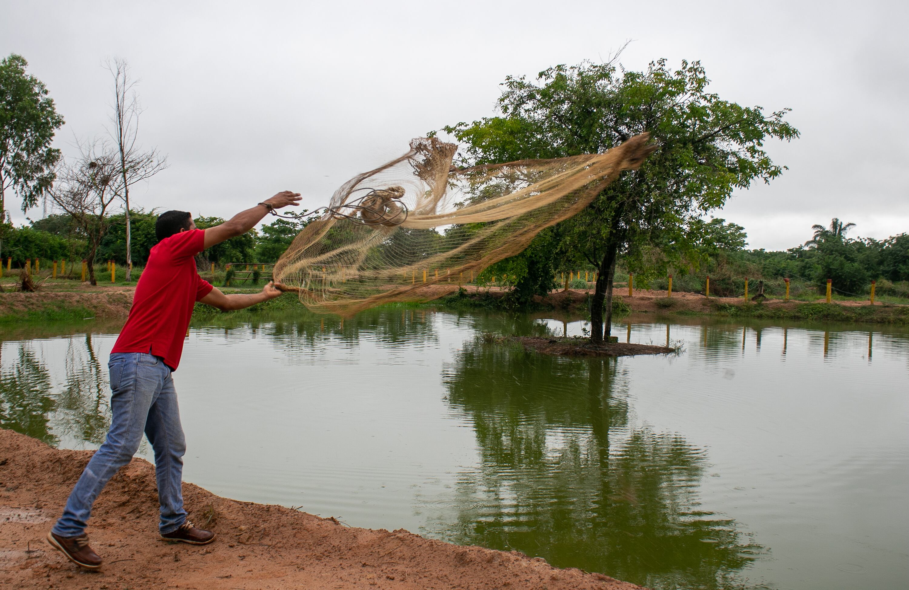 Cerca de medio millón de personas se benefician de la apuesta por diversificar la economía, apalancándose en la minería