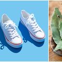 Zapatos nuevos y hojas de laurel, respectivamente.