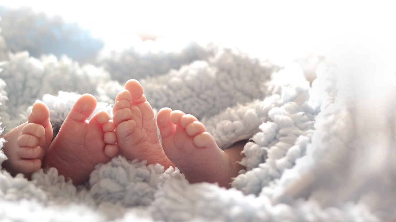 Imagen de referencia.