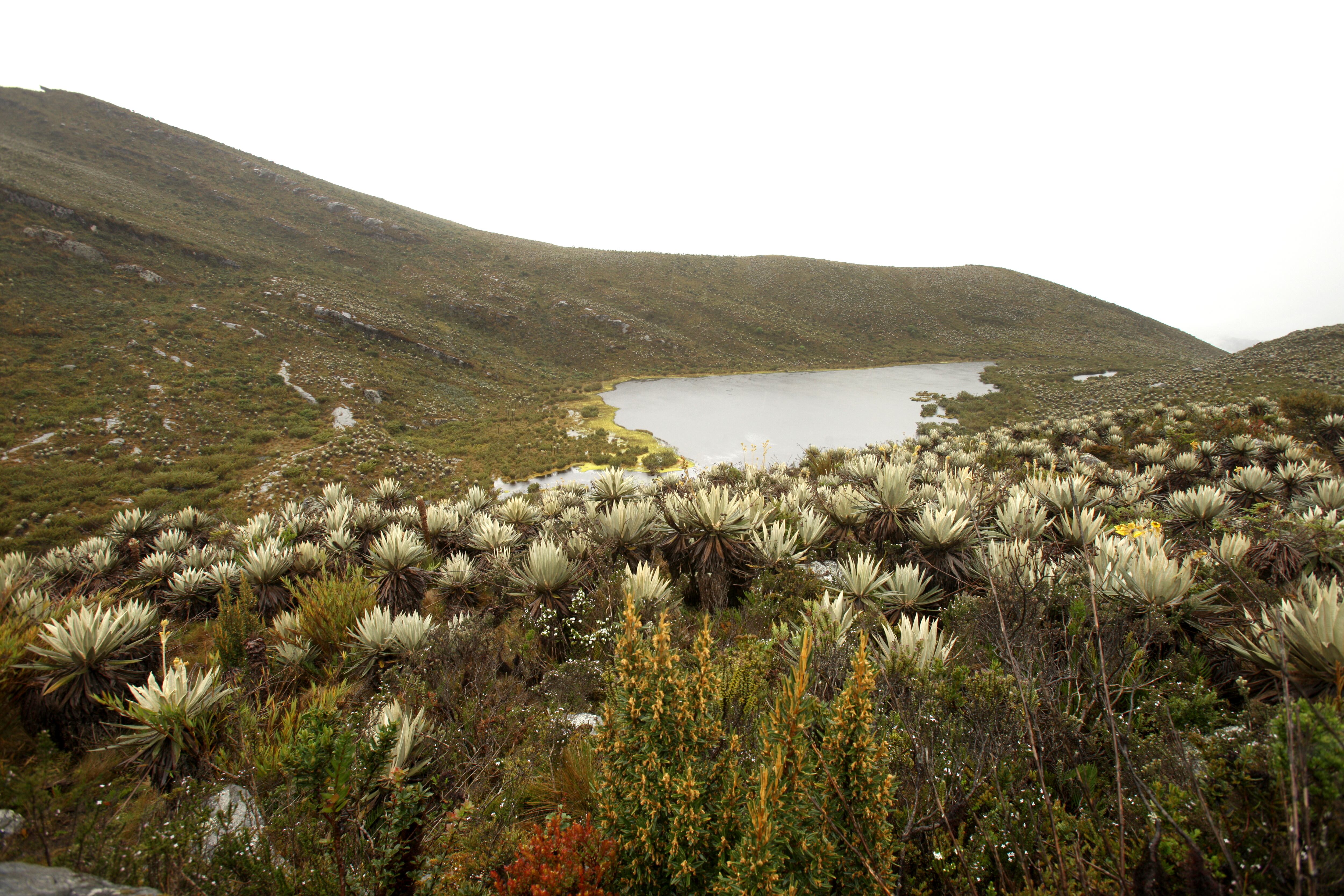 PARQUE NATURAL PARAMO