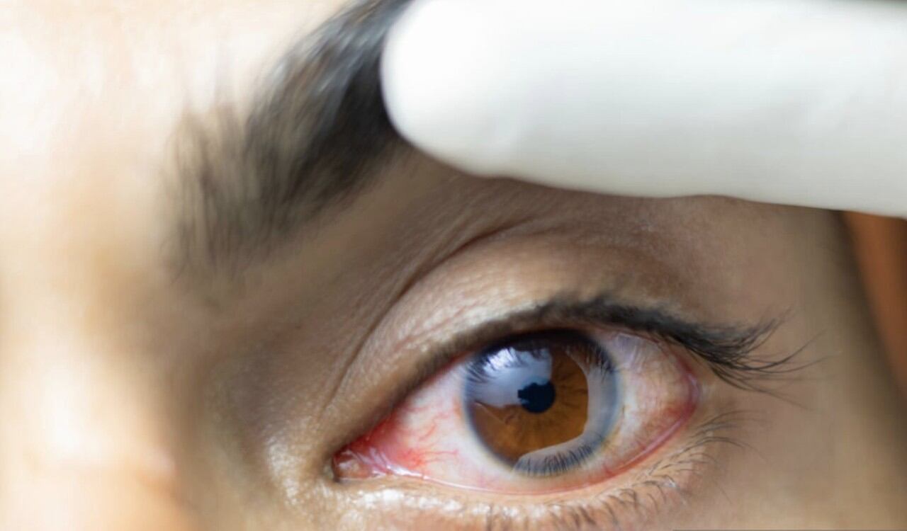 El consumo de arándanos ayuda a tener una mejor salud visual