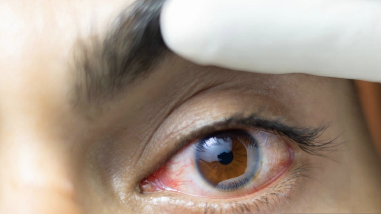 El consumo de arándanos ayuda a tener una mejor salud visual