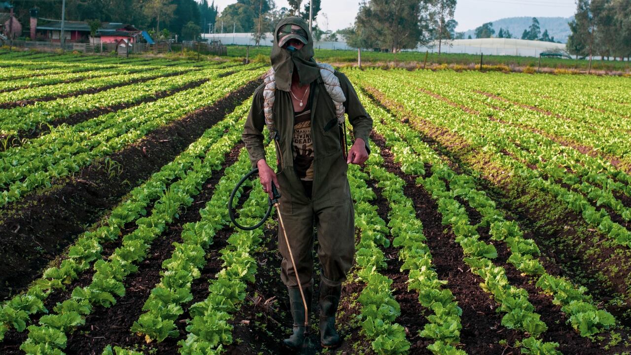 Un campesino fumiga su cultivo en Madrid, Cundinamarca.