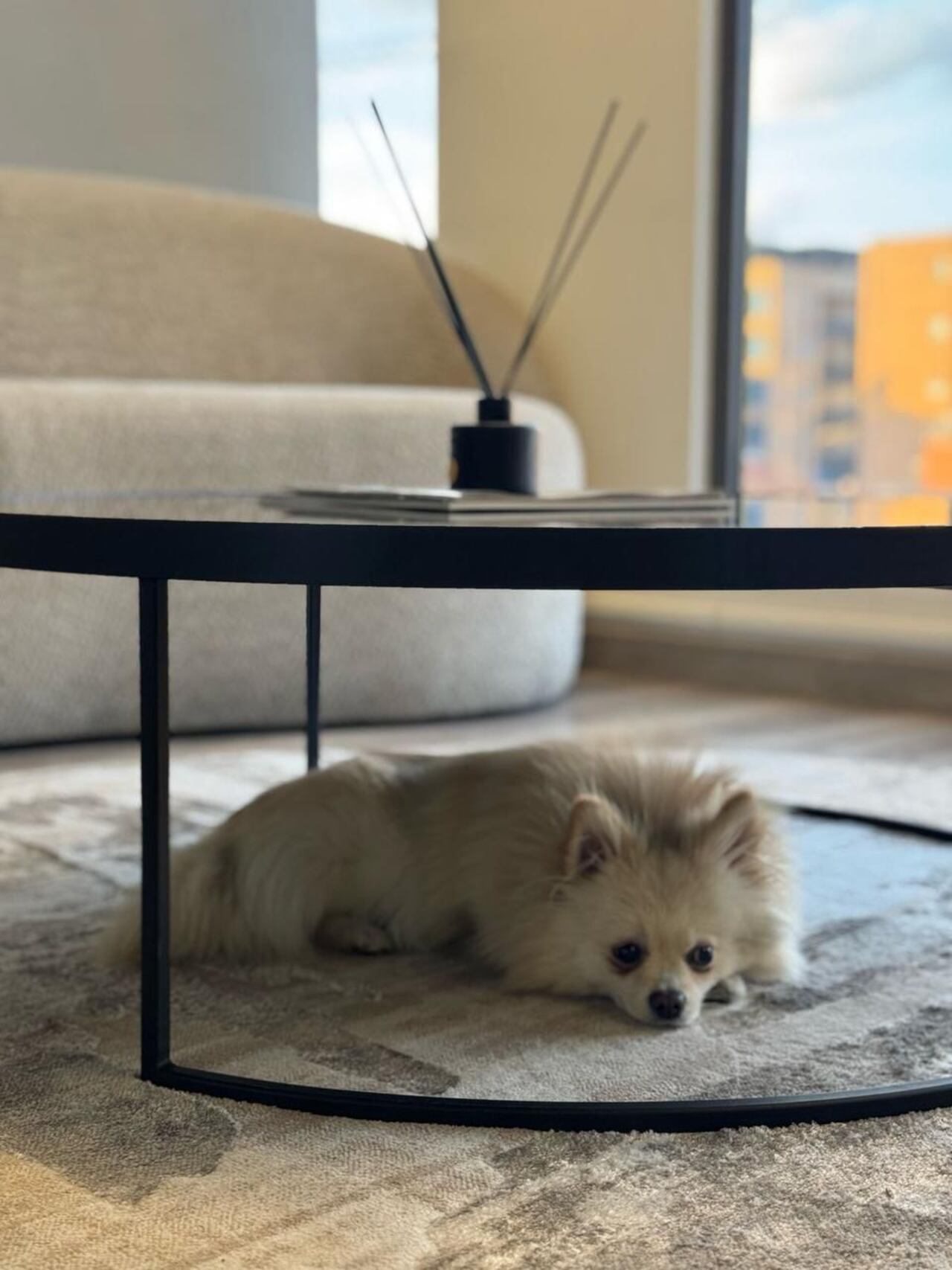 Luego del robo, la dueña ha recibido trágicas amenazas.