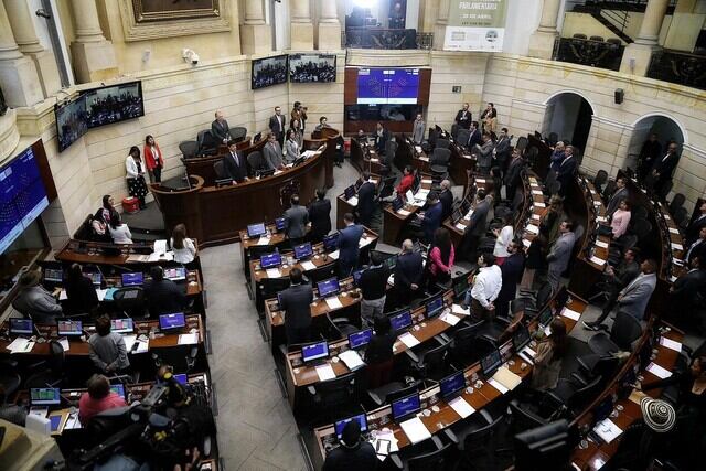 Plenaria Senado de la República.