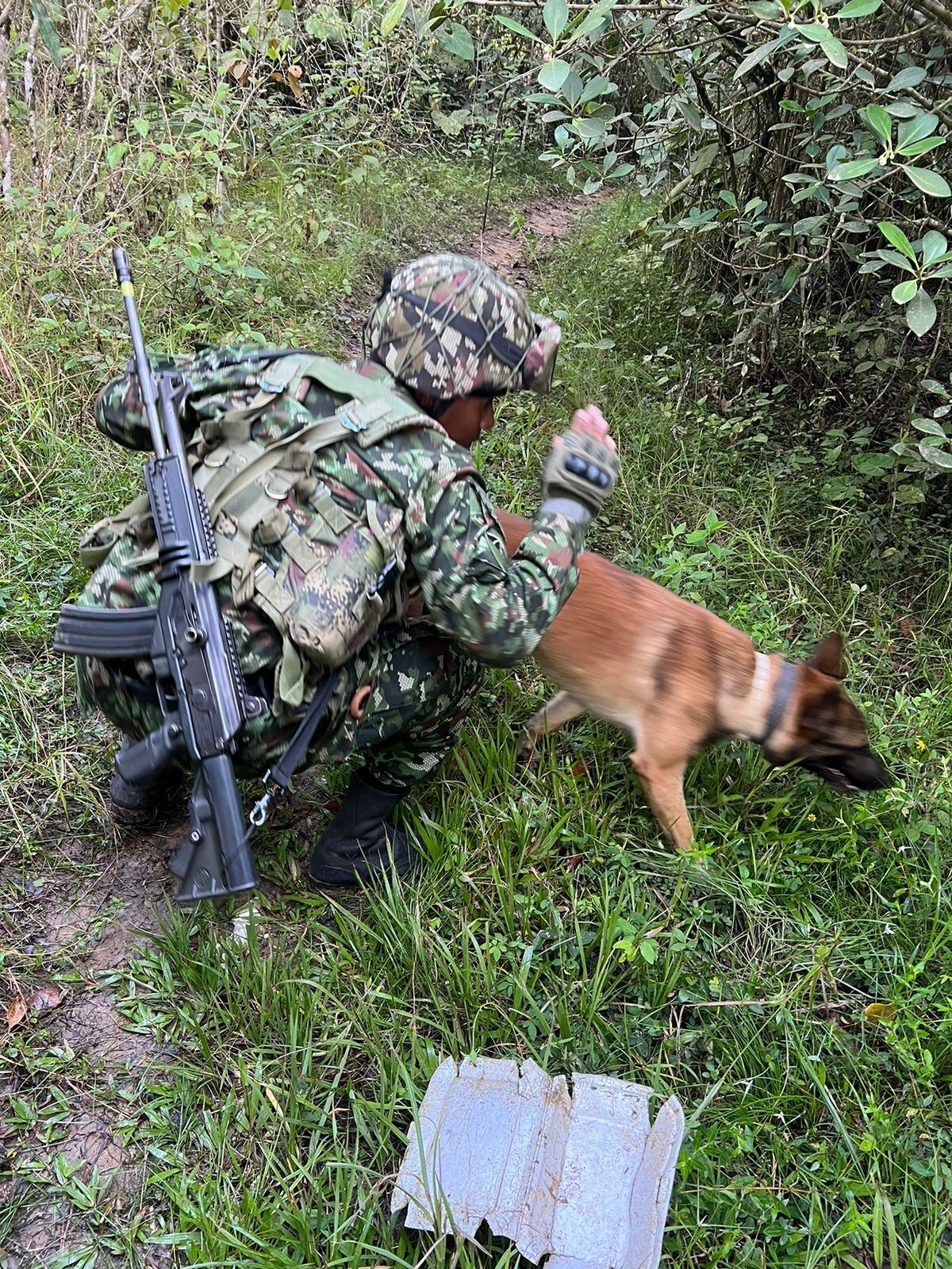 Rocky salvó la vida de una unidad militar en el Tolima.