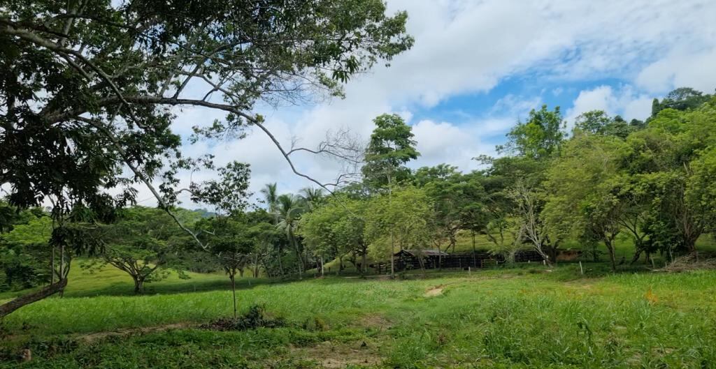 Este es el posible terreno, vía Vijagual.