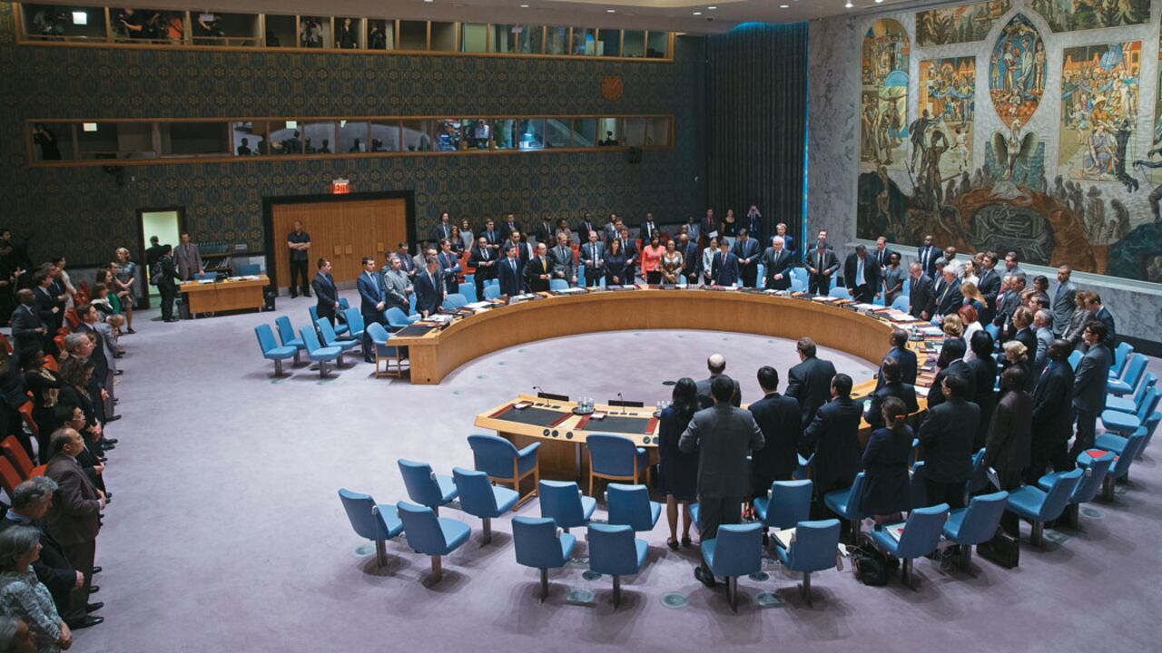 El Consejo de Seguridad de la ONU.