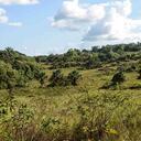 Guaviare es uno de los departamentos con gran oferta de turismo de naturaleza. Foto: Cortesía Procolombia