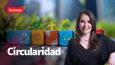 Marcela Velásquez, directora general de Tetra Pak para la Región Andina.