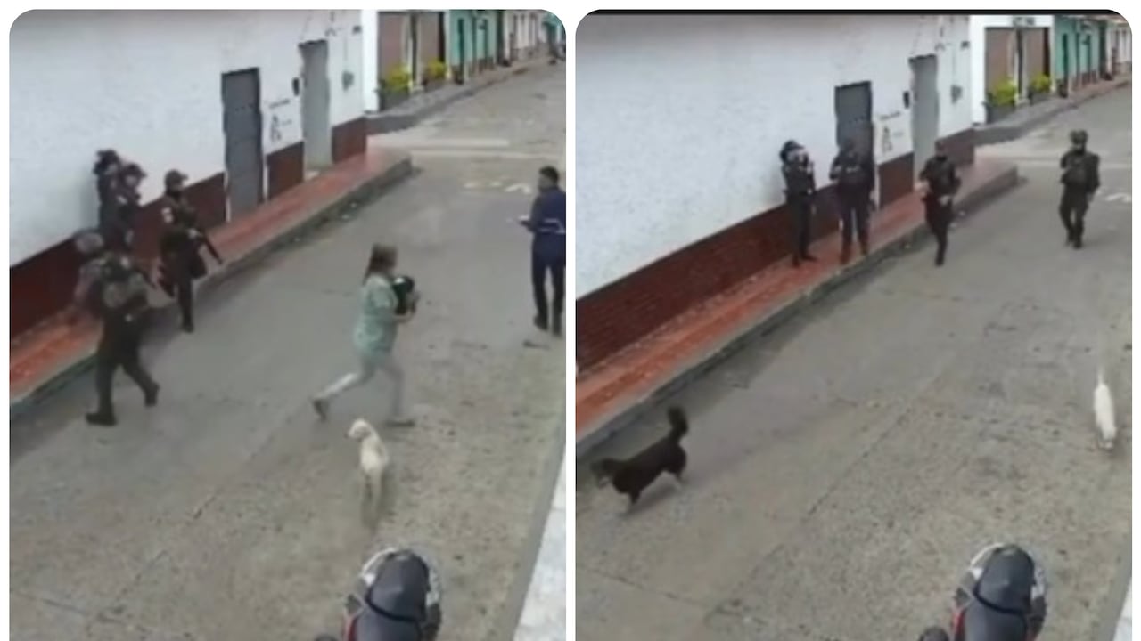 El intento de atentado no dejó a ningún oficial herido.