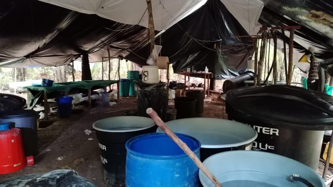 Destruyen cristalizadero para procesar clorhidrato de cocaína en Casanare.