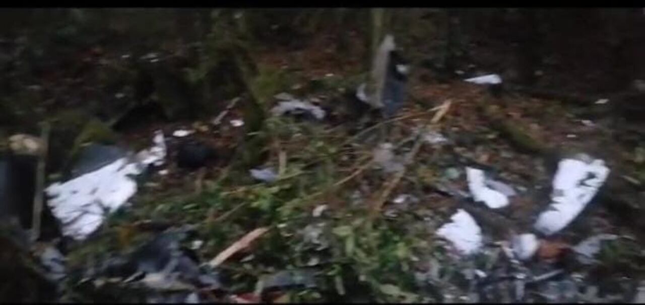 La avioneta cayó en la tarde de este miércoles 4 de octubre.