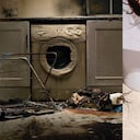 Los electrodomésticos son el refugio favorito de las cucarachas debido al calor que emanan.