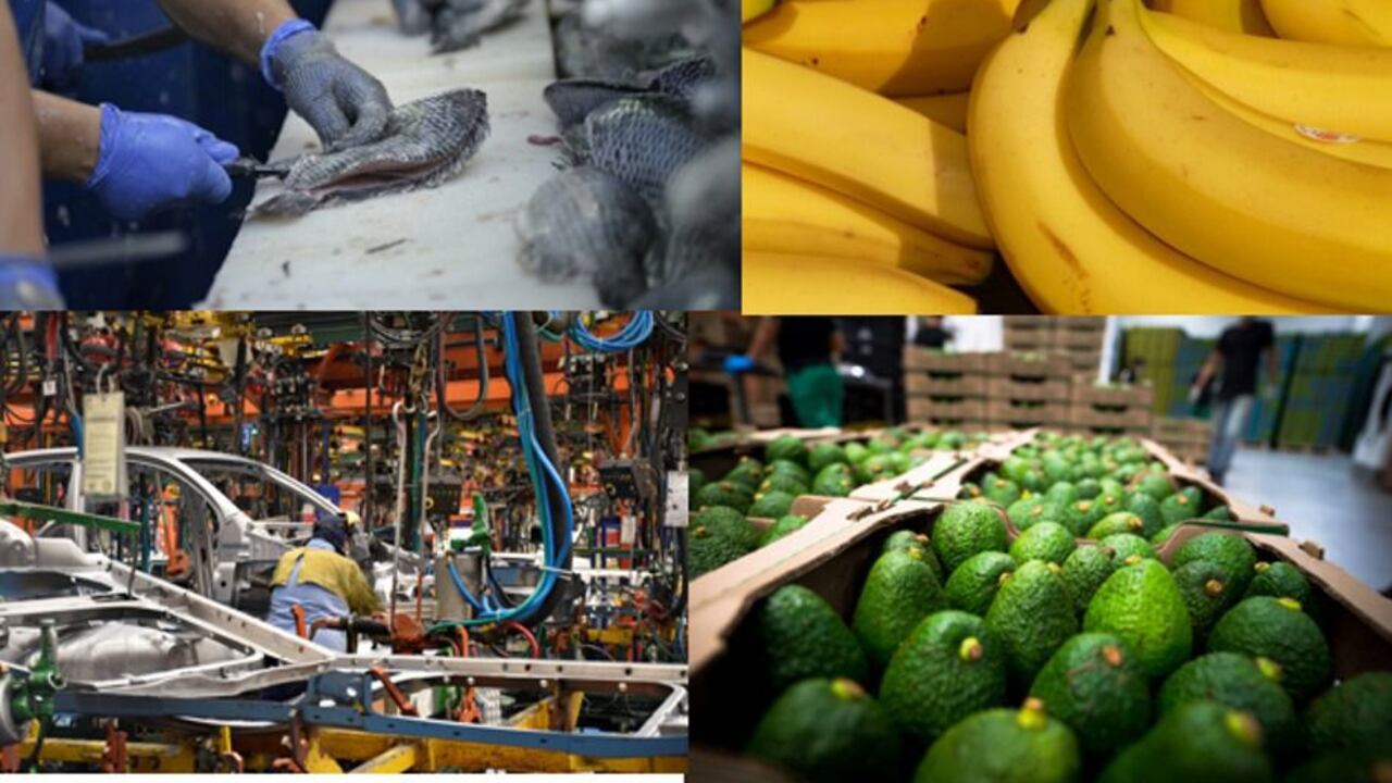 El hecho de que más del 61 % de las ventas externas que entran al país llega por vía marítima está trasnochando al gremio de empresas exportadoras, Analdex.