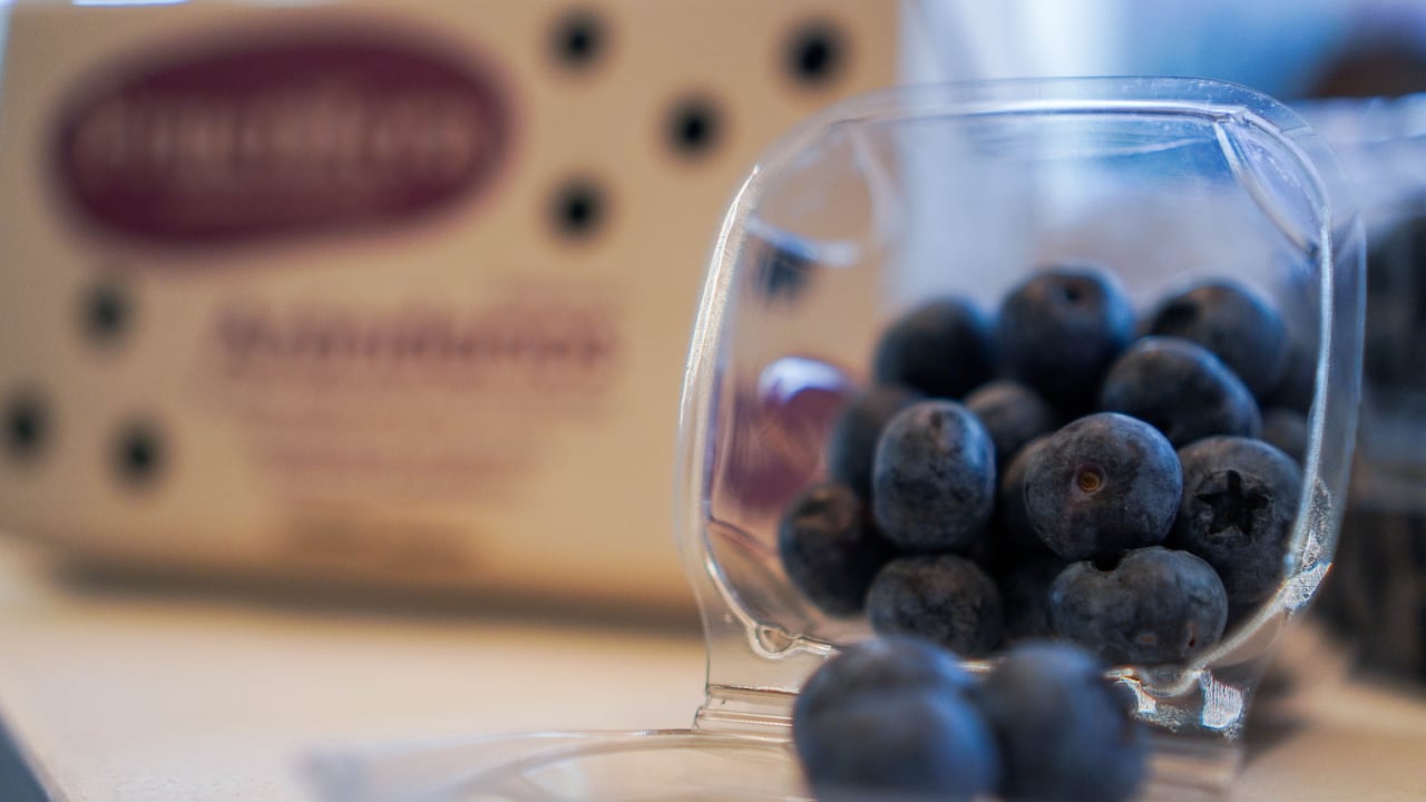 La expansión del cultivo de arándanos abre oportunidades para el desarrollo rural y la generación de empleo.