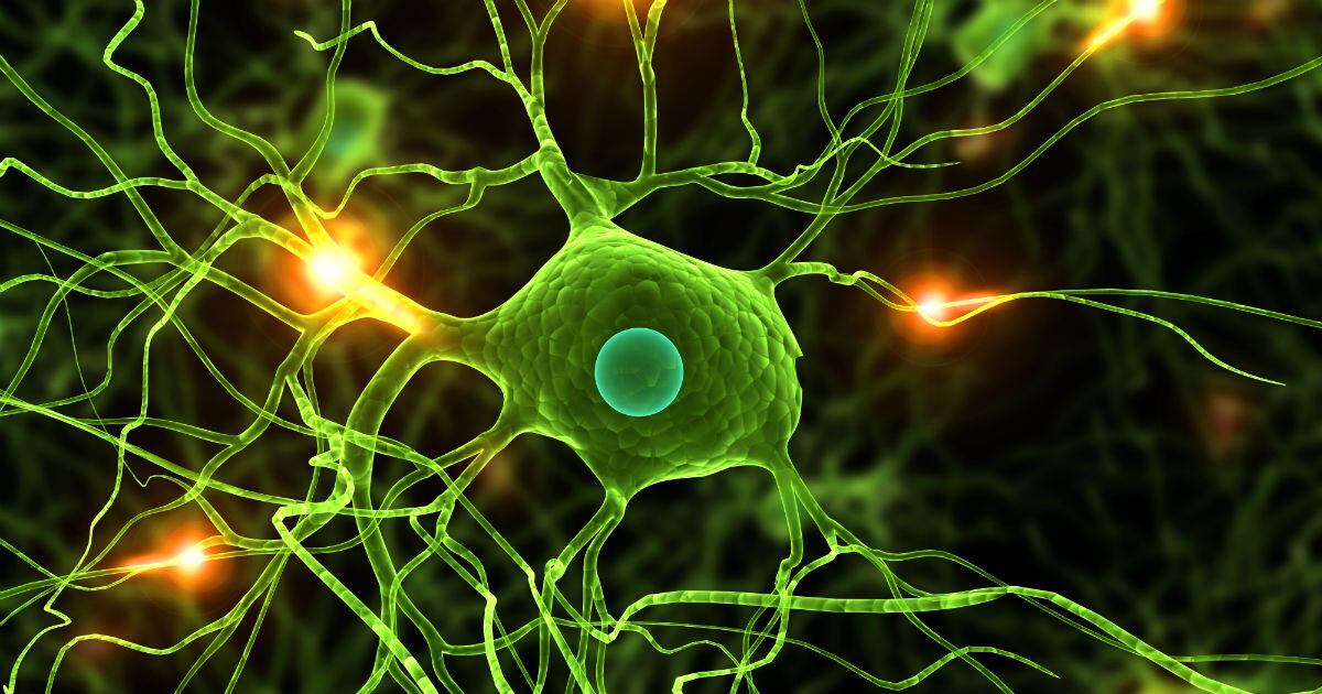 Aún queda mucho por recorrer en el estudio de la actividad cerebral al momento de morir.