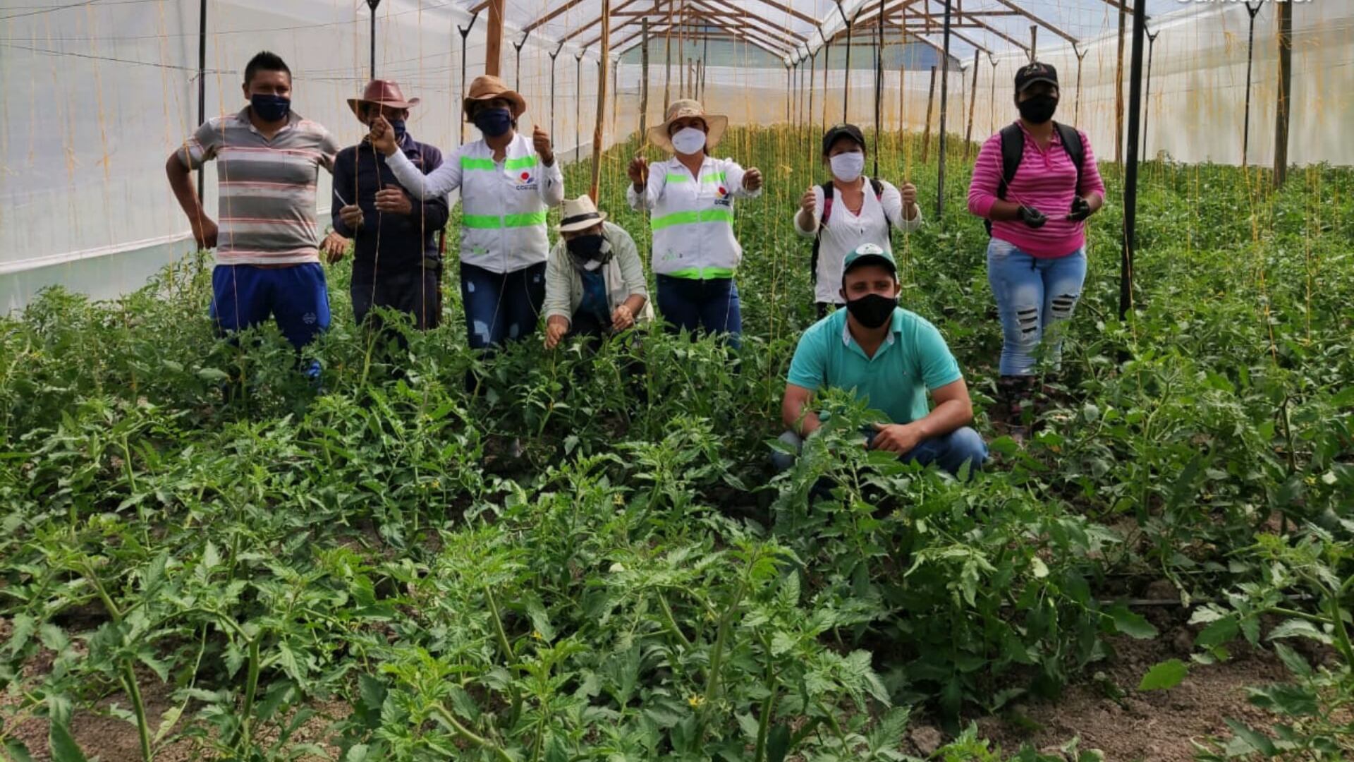 El proyecto ejecuta un modelo productivo de desarrollo para las familias campesinas, con el fin de garantizar la soberanía alimentaria y promover una convivencia en armonía con la naturaleza.