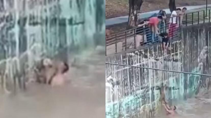 El joven, sin pensarlo ni un momento, se lanzó al agua para salvar a un perro que había caído en el río y estaba siendo arrastrado por la fuerza de la corriente.