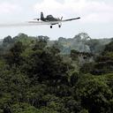 La fumigación aérea con glifosato se encuentra prohibida en Colombia desde 2015 por la Corte Constitucional. Foto: archivo/Semana.