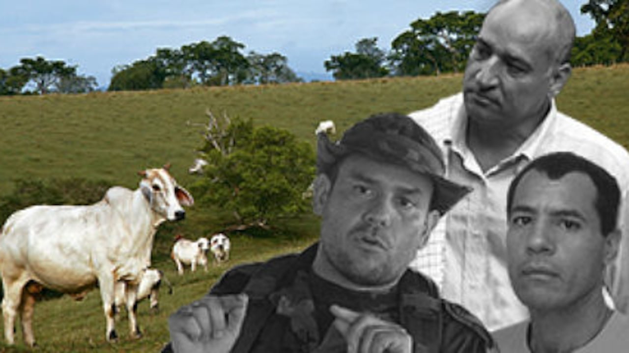 Carlos Castaño predijo cómo el narcotráfico acabaría con las auc