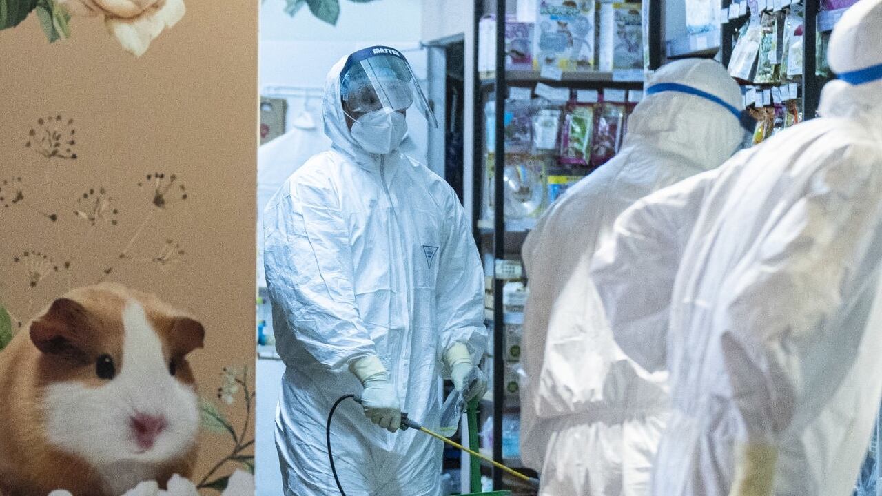 Las mascotas también están sufriendo la pandemia