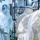 Las mascotas también están sufriendo la pandemia