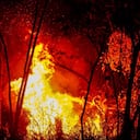 Los incendios forestales han afectado cerca de 20.000 hectáreas y golpean especialmente zonas ganaderas y agrícolas del Tolima.