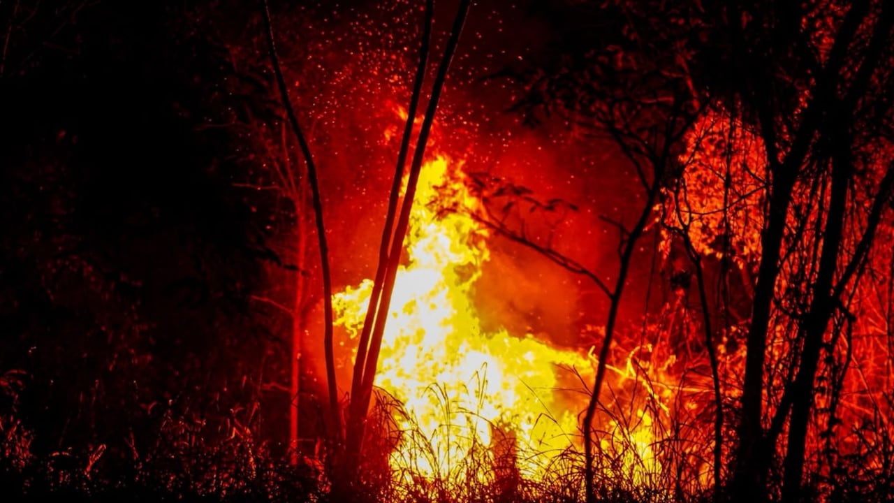 Los incendios forestales han afectado la calidad del aire en Colombia.